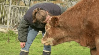 Miss France Agricole  une Sarthoise parmi les 21 dernières prétendantes [upl. by Anaeed]