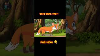 Jungle King Fox  bangla new cartoon  cartoon animation moralstories [upl. by Nosreg]