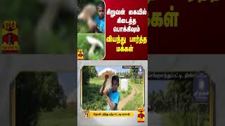 சிறுவன் கையில் கிடைத்த பொக்கிஷம்  வியந்து பார்த்த மக்கள் [upl. by Anairb]