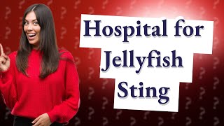 Should you go to the hospital for a jellyfish sting [upl. by Eahcim56]