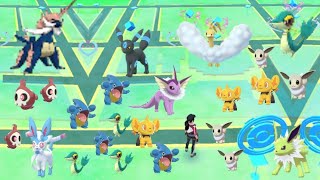 Super Community Day features shiny Shinx all Eevee Gible Snivy and more [upl. by Jankey]