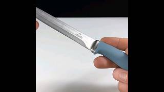 Sharp Your Knife shorts ytshorts lifehacks experiment video [upl. by Ocihc]