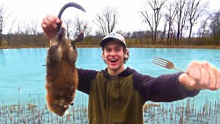 MUSKRAT TRAPPING Catch and Cook [upl. by Airla258]