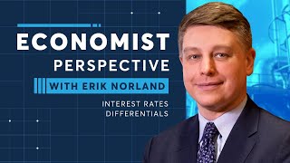 Economist Perspective Interest Rate Differentials [upl. by Mathre]