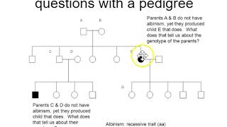 Mendelian genetics humans and pedigrees [upl. by Kilar499]