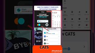 How to Connect CATS Wallet with Bitget App cats catsairdrop bitget bitgetwallet withdraw okx [upl. by Eseilana]