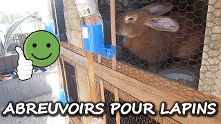 Abreuvoir pour Lapin [upl. by Namdor]