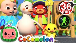 Traffic Safety Song  More Nursery Rhymes amp Kids Songs  CoComelon [upl. by Fabron]