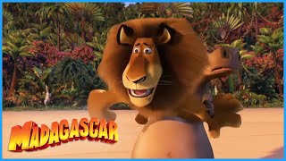 DreamWorks Madagascar  You Cant Swim  Madagascar Movie Clip [upl. by Nnayecats957]