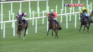 Punchestown Festival Day2 Highlights [upl. by Alake]