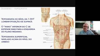 ANATOMIA APLICADA DO DUODENO [upl. by Ahsuatan887]