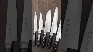 Fujiwara Kanefusa SOUMA MoStainless Chef Knife Series [upl. by Nirraj]