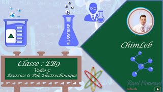 Exercice 6 Pile Electrochimique  Brevet Libanais EB9 [upl. by Ahsaten]