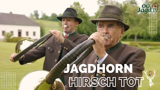 Jagdhornbläser Signal Hirsch tot [upl. by Ahseken]