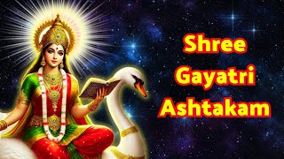 Gayatri Ashtakam  गायत्री अष्टकम्  Vedmata Gayatri Stotram  Gayatri Mantra  NAVRATRI SPECIAL [upl. by Esylla]