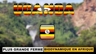 Ouganda Découvrez l’une des plus grandes fermes biodynamiques d’Afrique [upl. by Tessi669]