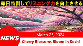 【英語ニュース041】リアルなニュースでリスニング力を強化【桜開花】 [upl. by Vanna583]