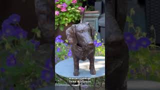 Bronzen ruwharige Teckel 🐾❤️ teckel teckellove teckels hondenbeeld dogartist dachshund dog [upl. by Clerc]