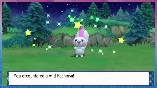 Live Shiny Pachirisu after 1166 REs in Pokémon Brilliant Diamond [upl. by Inat551]