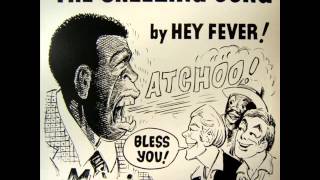 HEY FEVER  The Sneezing Song Original 12 Mixwmv [upl. by Heng]