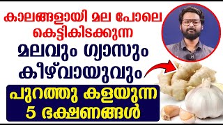 മലവും ഗ്യാസും കീഴ് വായുവും പുറത്തു കളയുന്ന 5 ഭക്ഷണങ്ങൾ  KEEZH VAYU [upl. by Ragucci3]