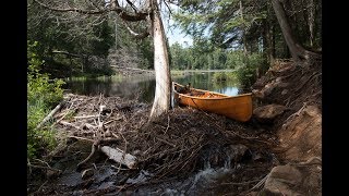 Algonquin Park 5 Day Solo  Episode 1 [upl. by Windzer]