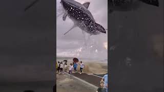 World largest blue whale 😱😱 ocean seaanimals sea reaction viralvideo shorts seaanimals [upl. by Akirdnas624]