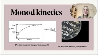 Monod kinetics to determine microorganism in bioreactors [upl. by Draned]