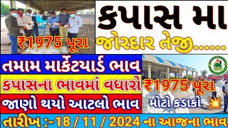 Kapas na bhav  18112024  કપાસના ભાવ2024 Information about Cotton Crop Price  Commodity Trend [upl. by Belden]