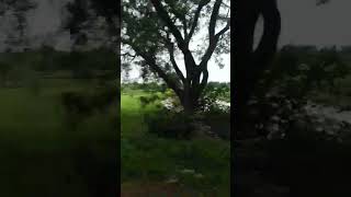 Thorrur to suryapet journey 👌nature like and subscribe 💯 [upl. by Symon327]