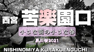 苦楽園口 ～夙川桜2021・小さな街の小さな春～【4K】Kurakuenguchi Nishinomiya Hyogo Japan [upl. by Barrus375]