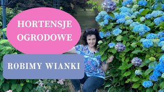 HORTENSJE OGRODOWE we wrześniu  Co robić gdy kwiaty przekwitną  DIY wianek z suszonych hortensji [upl. by Hamaso]