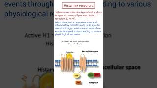 Histamine Receptors medicine histamine pharmacy pharmacology [upl. by Adiehsar681]