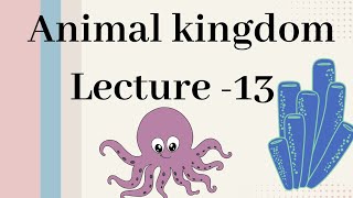 Hemichordata  Animal kingdom Lecture  13 [upl. by Imerej]