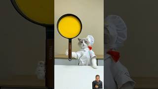 Funny cat funny cat puffiness cute spuffy cake chefpuff cooking thatlittlepuff [upl. by Mikey]