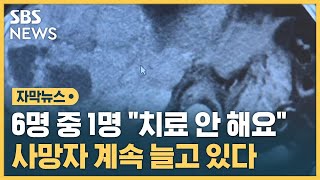 생존율 높은데 치료 포기 속출…사망자 계속 늘어나는 이유 자막뉴스  SBS [upl. by Behlau]