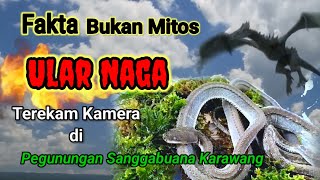 FAKTA Bukan Mitos Ular Naga Terekam Kamera di Pegunungan Sanggabuana Karawang [upl. by Eanod801]