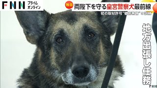 【独自】両陛下を守る「皇宮警察犬」初取材…“徹底警備”への訓練の裏側に密着 訪問地での危険がないかを念入りに調査 [upl. by Fidele]