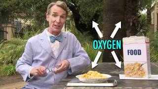 Why Does Exercise Make You TiredConsider the Following With Bill Nye [upl. by Hersh]