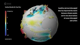 Carbon dioxide ocean–atmosphere exchange [upl. by Nivrek]