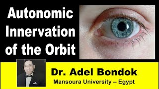 Autonomic Innervation of the Orbit Dr Adel Bondok [upl. by Nerat635]