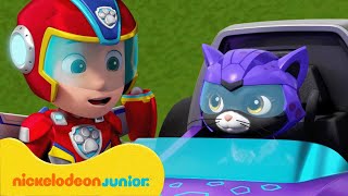 PAW Patrol  La Pat Patrouille  Les Super Chats et la Mini Patrouille   Nickelodeon Jr France [upl. by Omissam990]