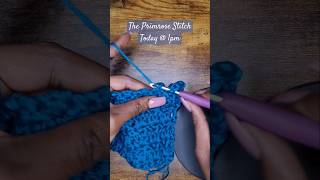 HOW TO CROCHETTHE PRIMROSE STITCHNEW TUTORIAL crochet howtomakeasinglecrochet crochetpatterns [upl. by Hardi]