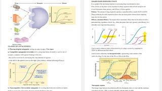 8 Pharmacology Pharmacodynamics From Antagonists to Therapeutic Windows [upl. by Elyn]