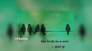 two birds on a wire sped up lyrics by reginaspektor [upl. by Bevus963]