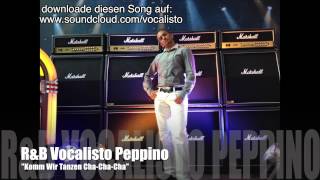 RampB Vocalisto Peppino  quotKomm Wir Tanzen ChaChaChaquot R Kelly quotShare My Lovequot Cover [upl. by Anwahsak]