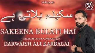 Shahadat Bibi Sakeena sa  Noha 2024  Darwaish Ali Karbalai [upl. by Noffets]