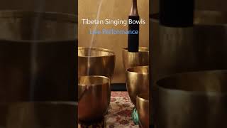 Tibetan Singing Bowls Live Performance Pure Positive Vibes Raise Positive Energy Boost Your Aura [upl. by Nnylasor663]