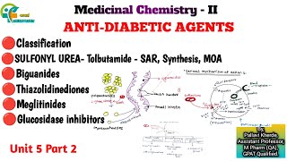 anti diabetic agents unit 5 medicinal chemistry 2 b pharm sulfonyl urea Tolbutamide classification [upl. by Albers135]