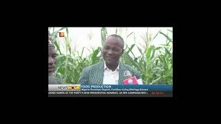 AIT NEWS ON THE PRESS CONFERENCE FOR PRODUCTION AND DISTRIBUTION OF EMORINGA ORGANIC FERTILIZER [upl. by Hannie]